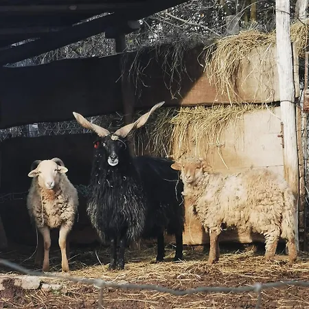 Çiftlik konaklama Varga Vendeghaz Iregszemcse
